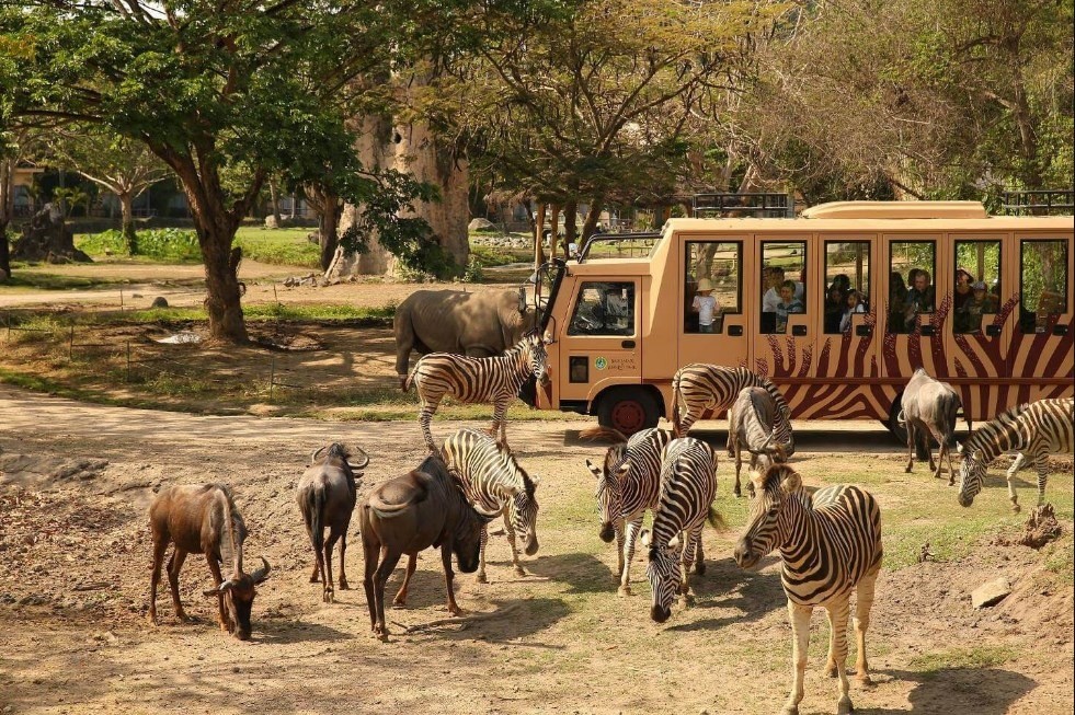 bali safari & marine park